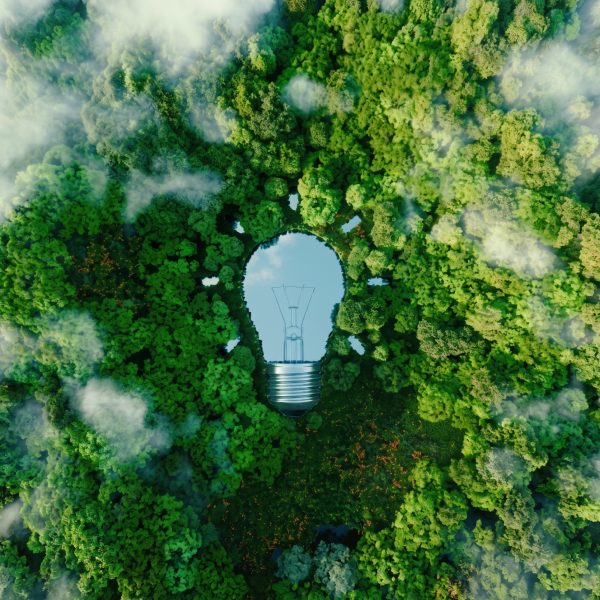 reduire impact environnemental hjd process
